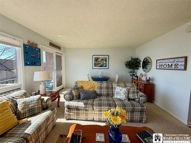 living room with a textured ceiling, carpet flooring, and baseboards