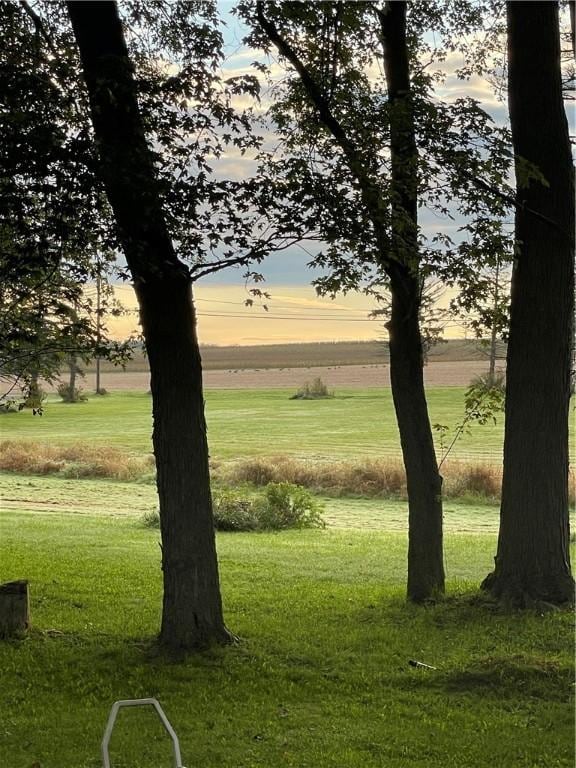 view of community with a lawn