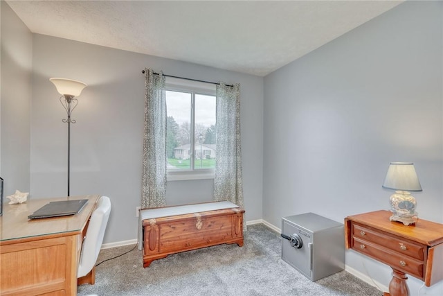 office area featuring baseboards and carpet floors