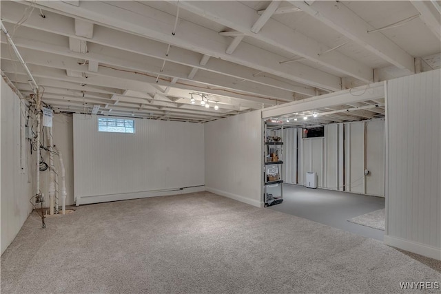 below grade area with carpet floors
