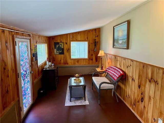 living area featuring wood walls