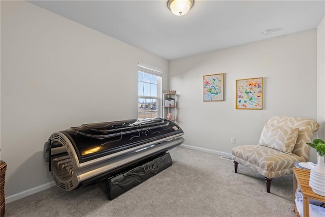 living area featuring baseboards and carpet