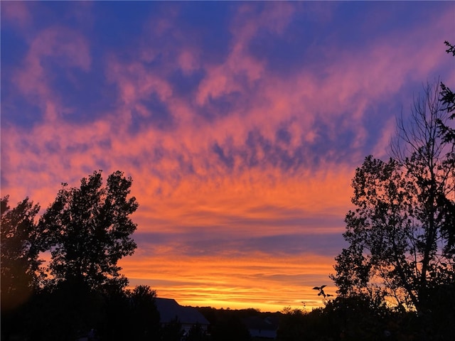view of nature at dusk