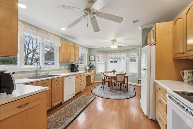 kitchen featuring crown molding, white appliances, light countertops, a sink, and light wood-style flooring