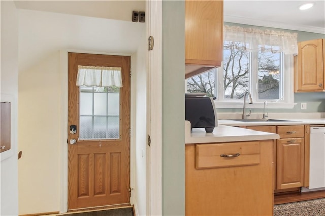 doorway with a sink