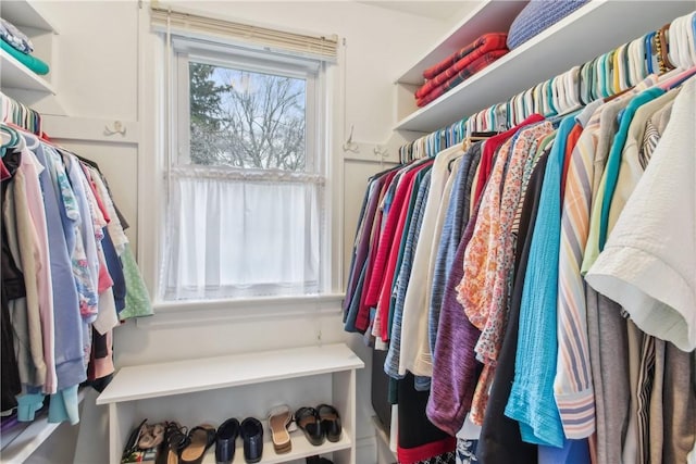 view of spacious closet