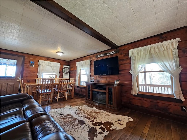 living area featuring wooden walls, hardwood / wood-style flooring, and a wealth of natural light