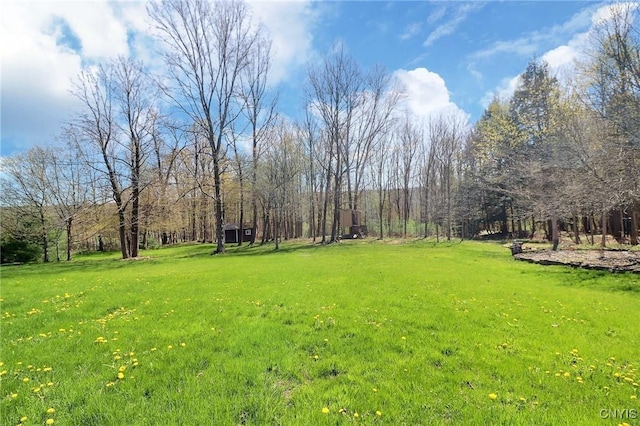 5528 Clearview Dr, Stockbridge, NY 13409 - photo 24