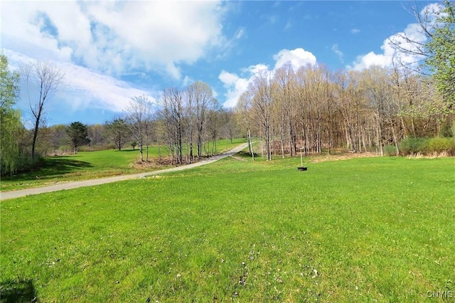 5528 Clearview Dr, Stockbridge, NY 13409 - photo 25