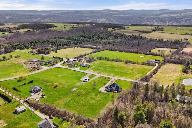 3300 County Road 7, Hector, NY 14865 - aerial view of sparsely populated area with a mountainous background
