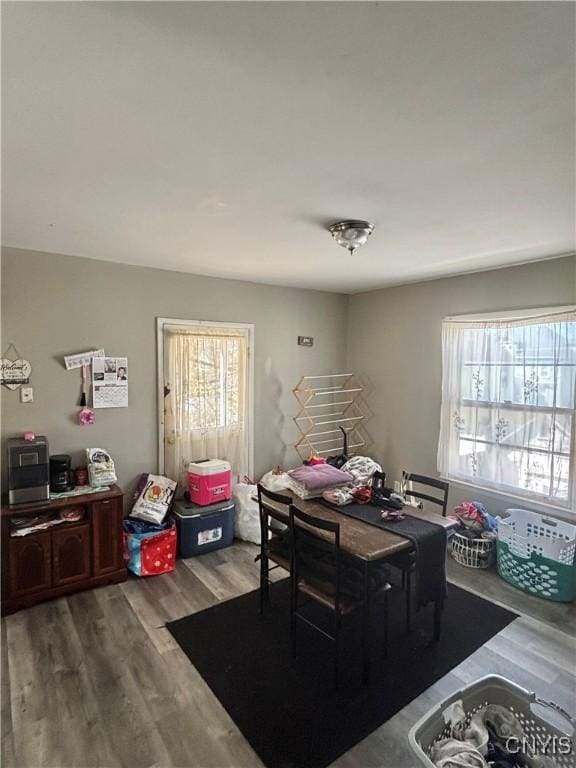 111 N Fulton St, Auburn, NY 13021 - dining space with a wealth of natural light and wood finished floors