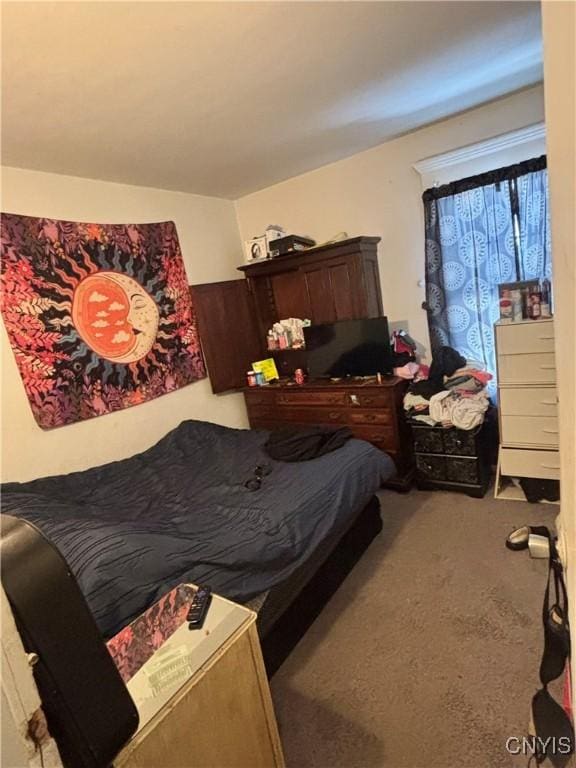111 N Fulton St, Auburn, NY 13021 - bedroom featuring carpet floors