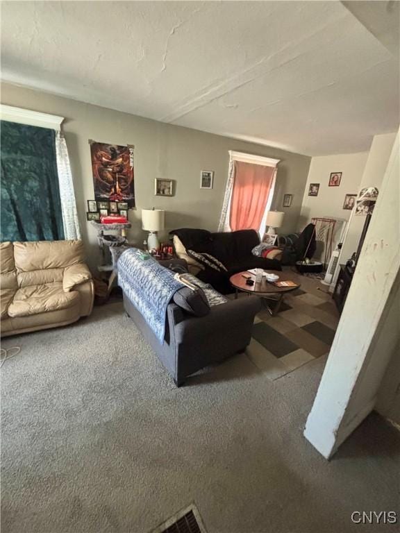 111 N Fulton St, Auburn, NY 13021 - living room with carpet
