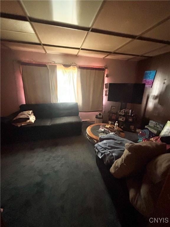111 N Fulton St, Auburn, NY 13021 - living room with carpet flooring