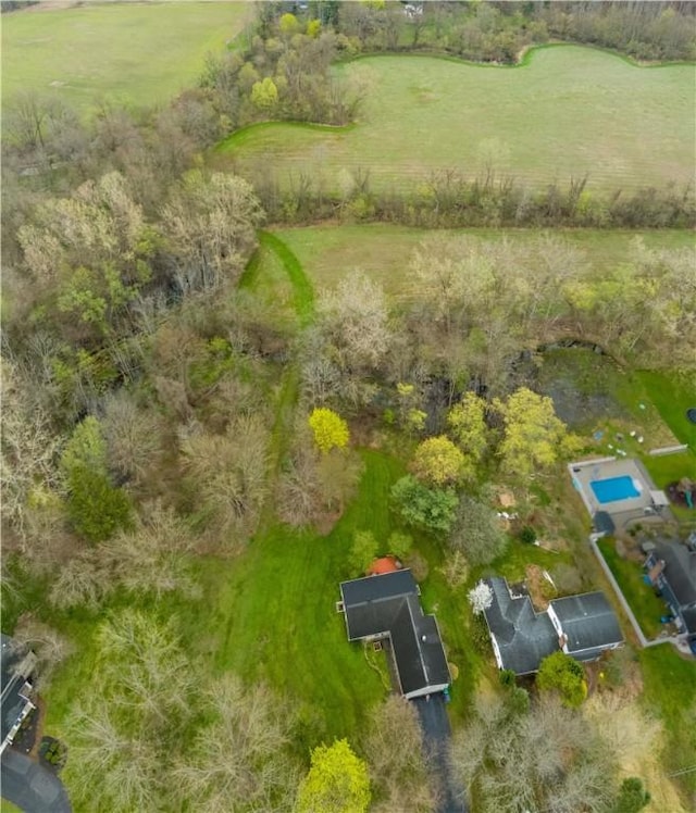 drone / aerial view