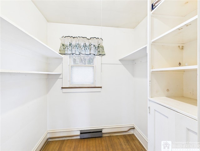spacious closet featuring wood finished floors