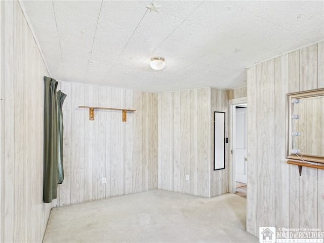 carpeted spare room featuring wooden walls