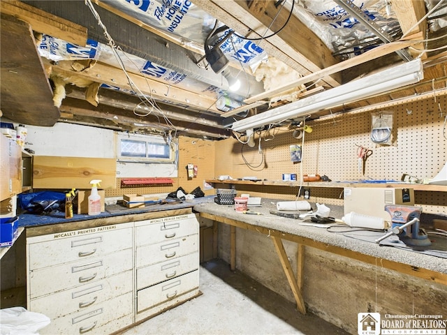 below grade area with a workshop area