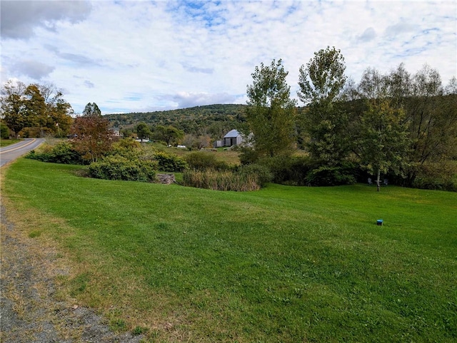 854 County Highway 2, Unadilla, NY 13849 - photo 26