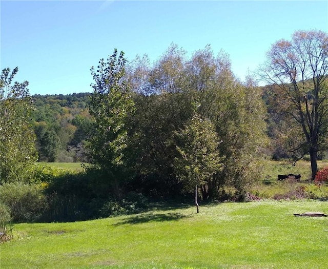 854 County Highway 2, Unadilla, NY 13849 - photo 27