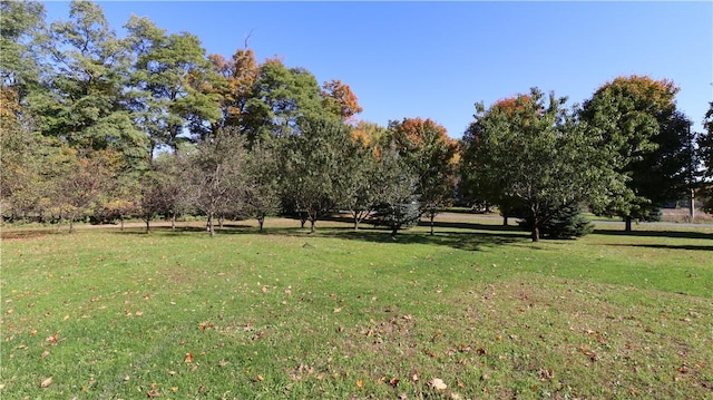 exterior space