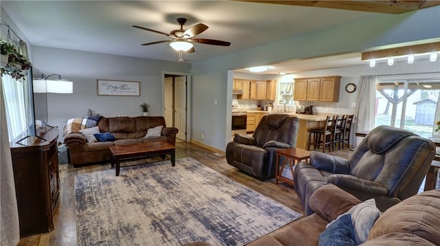living area featuring a ceiling fan and wood finished floors