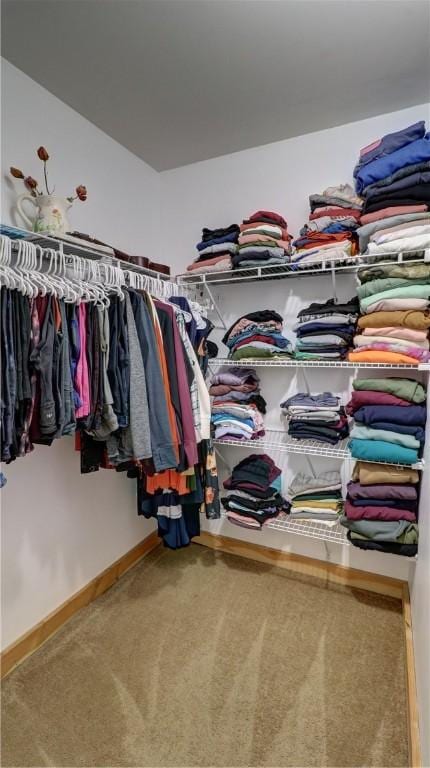 walk in closet featuring carpet flooring