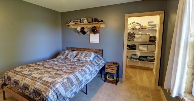 bedroom with carpet floors, a closet, and a spacious closet