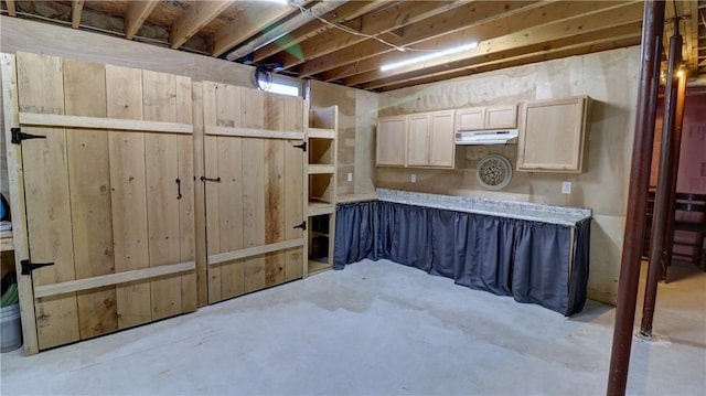 view of unfinished basement