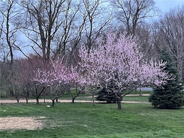 view of home's community with a yard