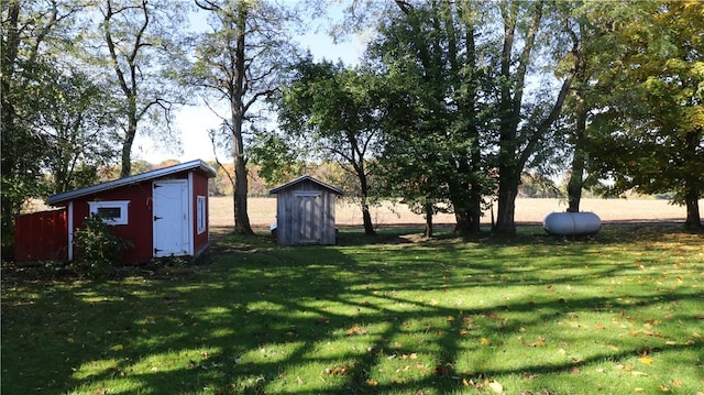 view of yard featuring a storage shed and an outbuilding