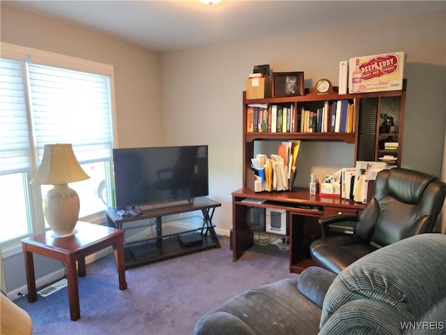 5260 Murphy Rd, Orchard Park, NY 14127 - carpeted office space with a healthy amount of sunlight