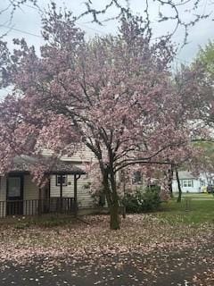 250 Schuyler Ave, Elmira-City, NY 14904 - view of yard