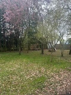 250 Schuyler Ave, Elmira-City, NY 14904 - view of green lawn