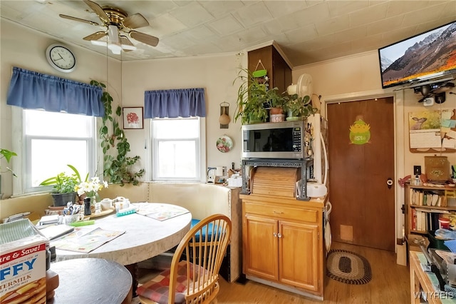 dining room featuring light wood-style floors, ornamental molding, ceiling fan, and a healthy amount of sunlight