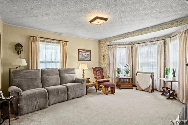 living room featuring an ornate ceiling and carpet flooring