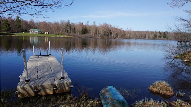 dock area featuring a water view and a view of trees