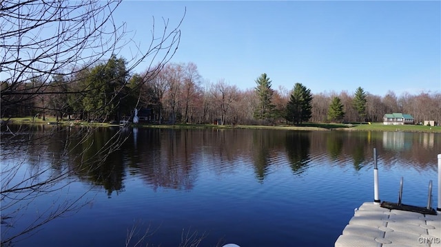dock area with a water view and a forest view