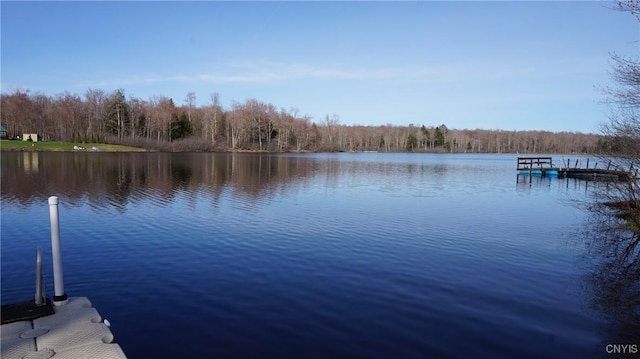 dock area with a water view and a wooded view