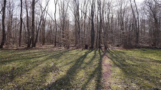 view of yard with a forest view