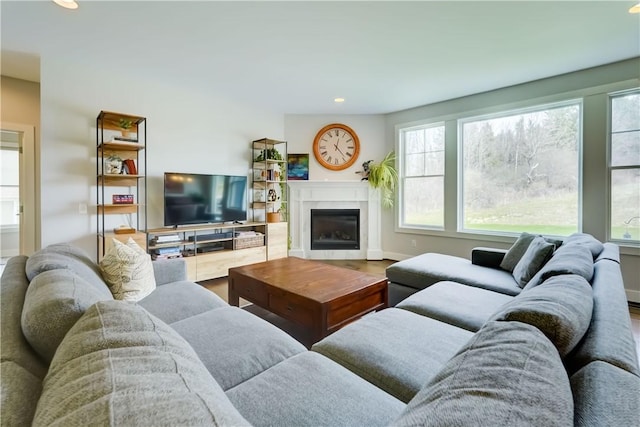 living room featuring a glass covered fireplace, recessed lighting, and wood finished floors