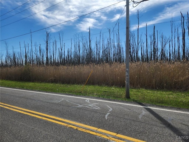 04.1 Bowman Rd, Manlius, NY 13104