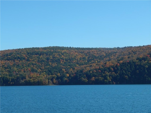 water view with a wooded view