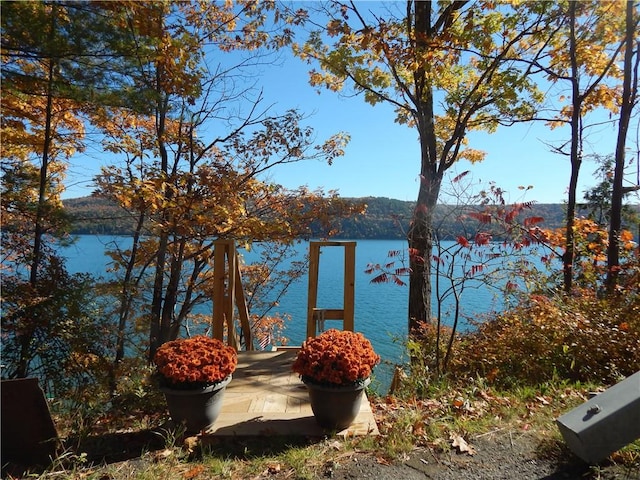 property view of water