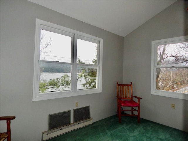 living area featuring carpet flooring, a baseboard heating unit, plenty of natural light, and lofted ceiling
