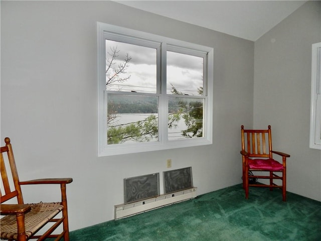 sitting room featuring carpet and a baseboard radiator