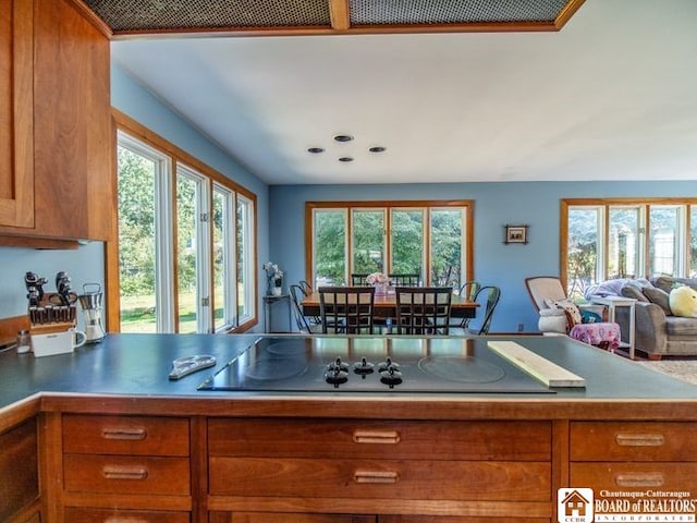 297 Central Ave, Pomfret, NY 14063 - photo 23