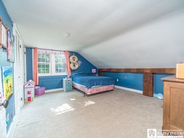 297 Central Ave, Pomfret, NY 14063 - photo 36