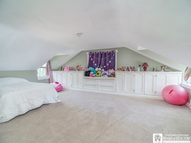 297 Central Ave, Pomfret, NY 14063 - photo 39