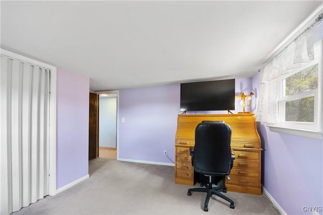 office featuring baseboards and carpet floors